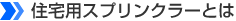 ZpXvN[Ƃ